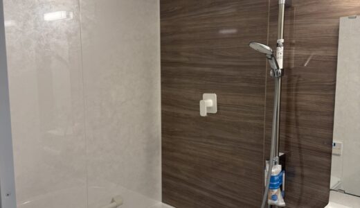 浴室リフォーム ウォルナットアクセントパネルのモダン浴室 LIXILリノビオV