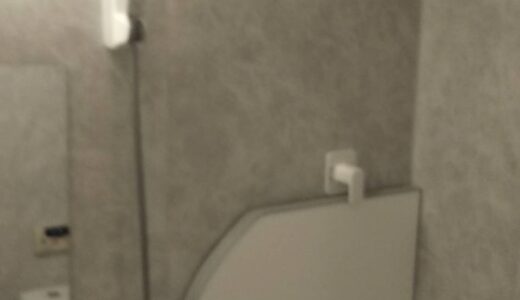 凛とするストーンシェルグレーの浴室