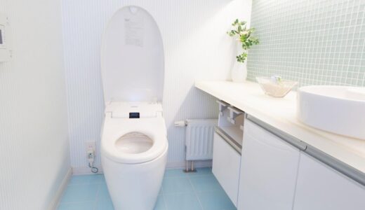 失敗しないトイレ壁紙の選び方！色・柄・機能・厚さを徹底解説！